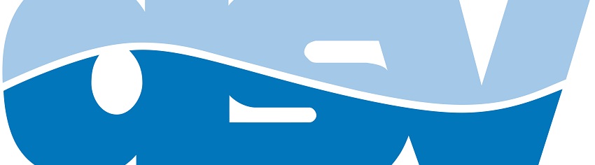 DSV